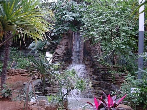 Family Garden & 2*